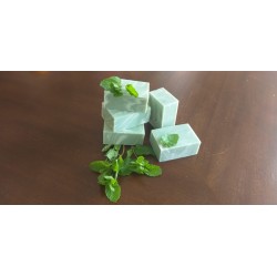 Свежая мята