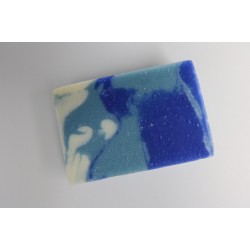 Береговая волна