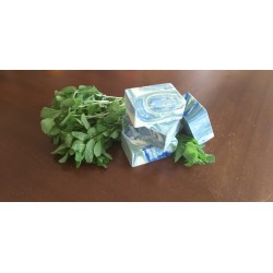 Мятный вихрь